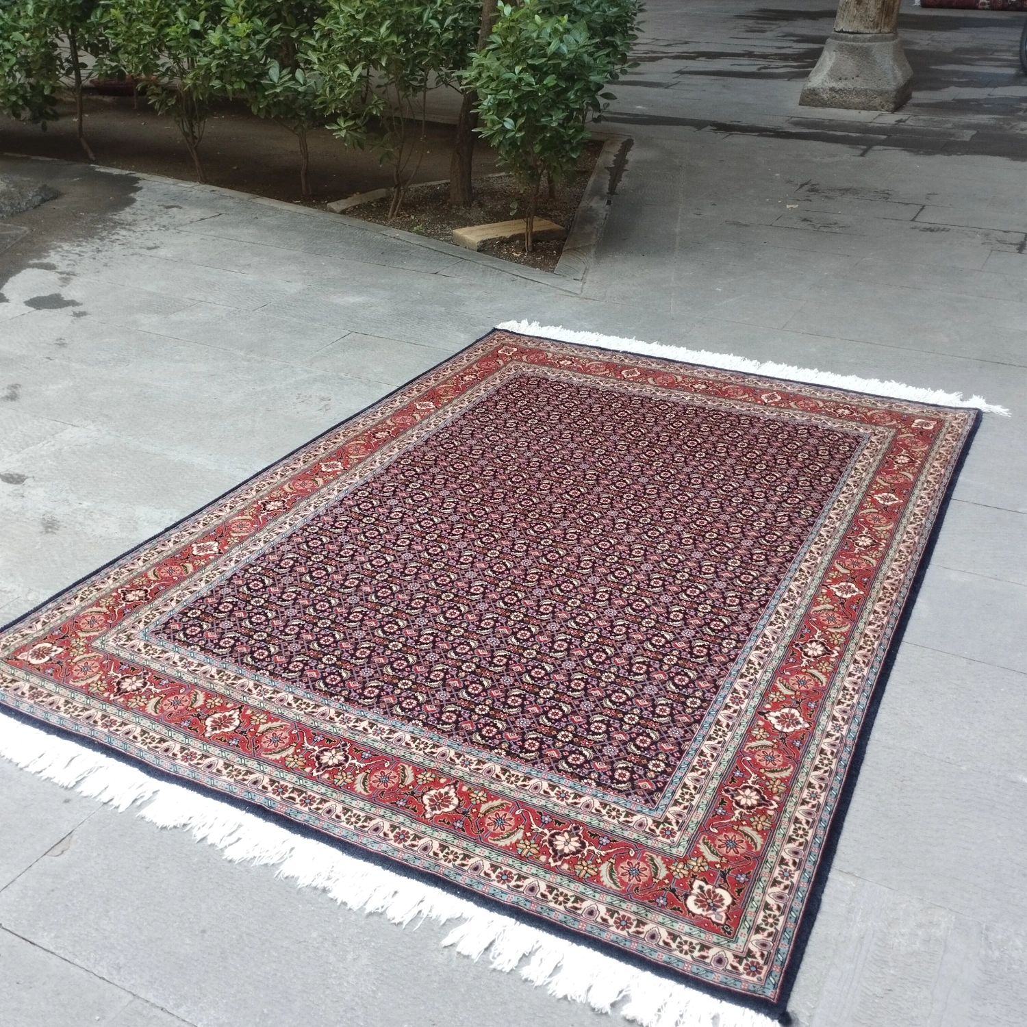 carpet-farshboom-0987243541