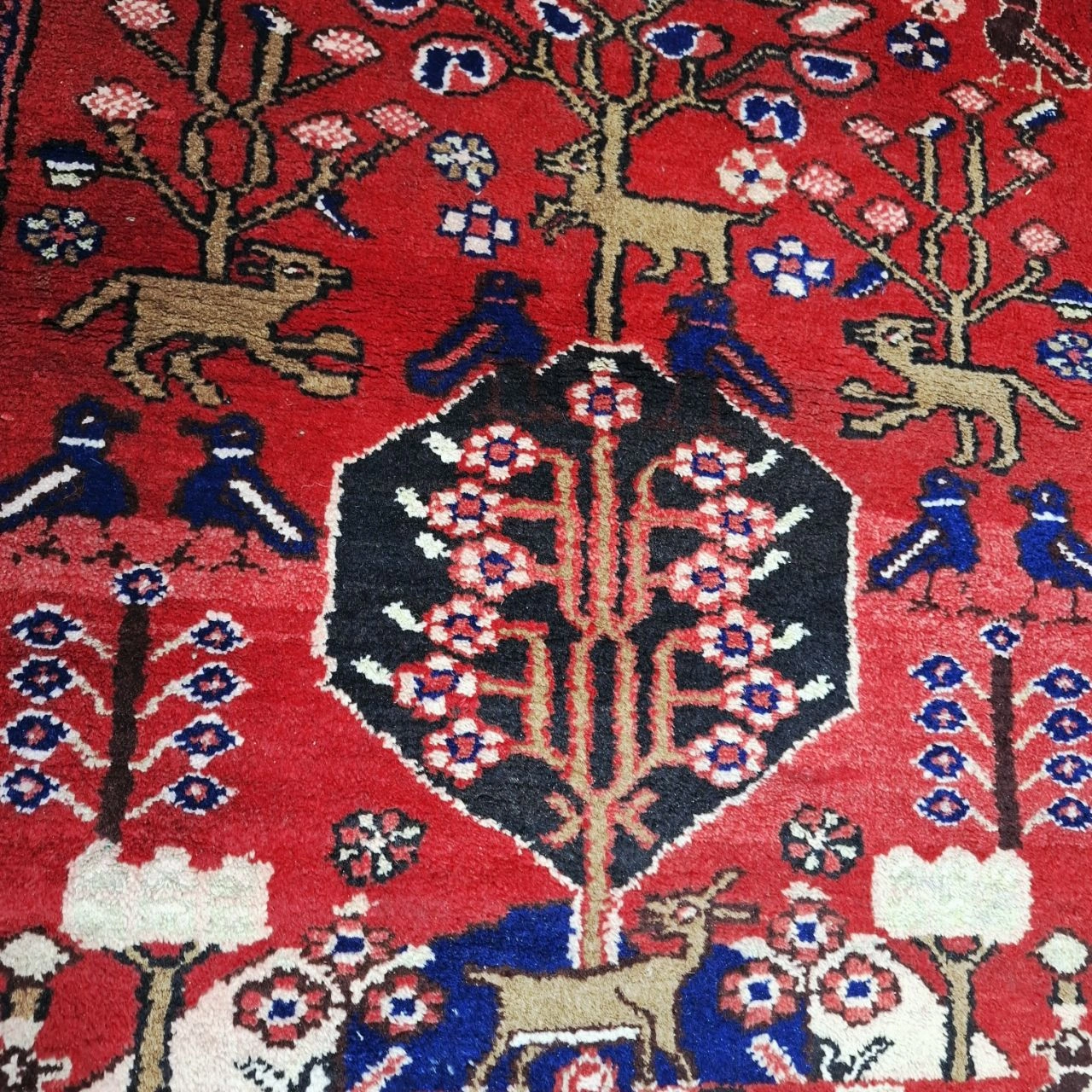 carpet-farshboom-1213444362