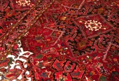 carpet-farshboom-1702731430