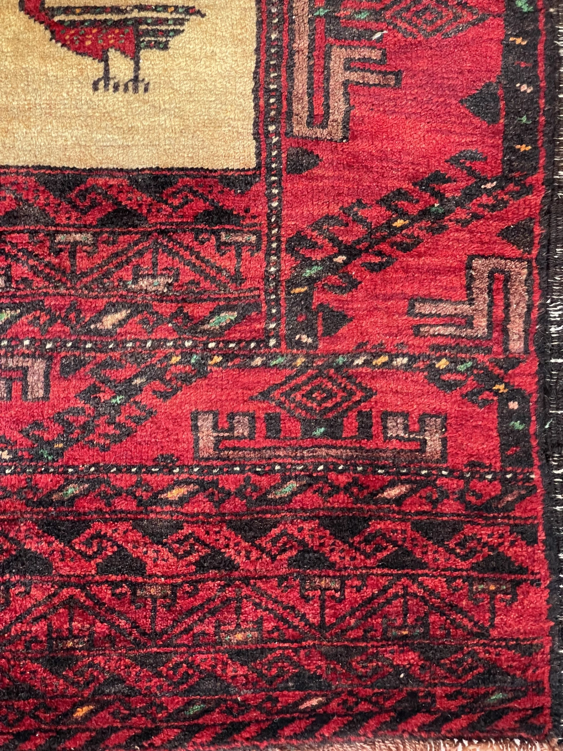 carpet-farshboom-2627791855