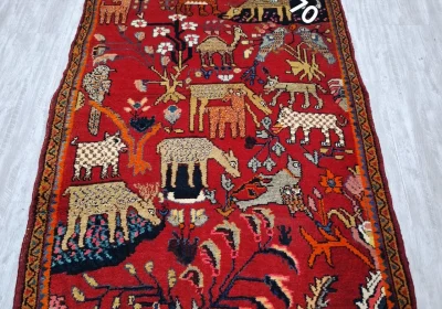 carpet-farshboom-3037395521