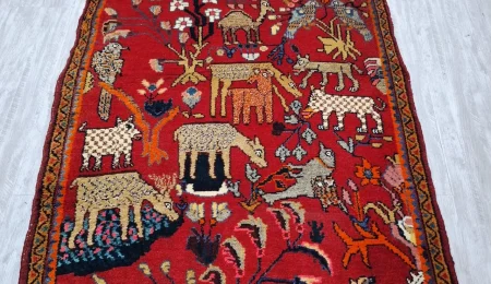 carpet-farshboom-3037395521