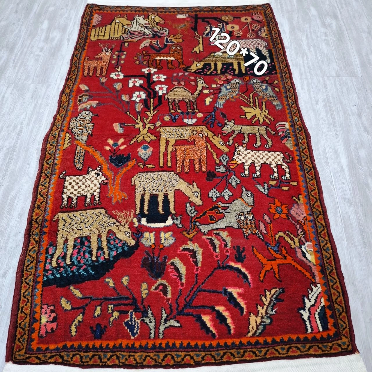 carpet-farshboom-3037395521