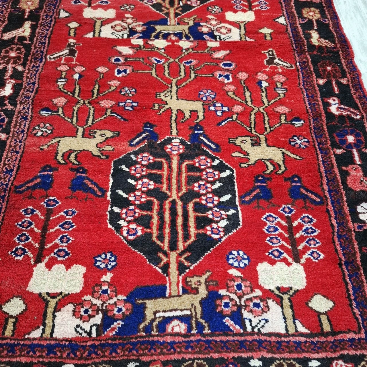carpet-farshboom-3496947591