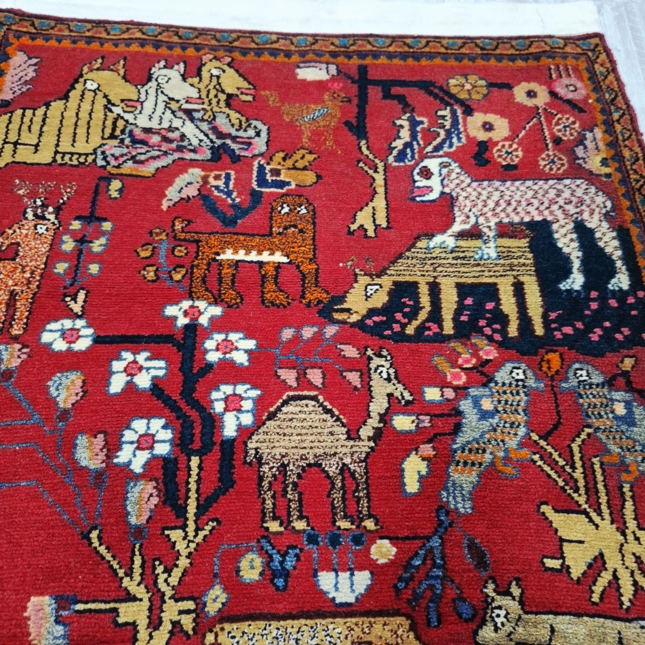 carpet-farshboom-3967426559