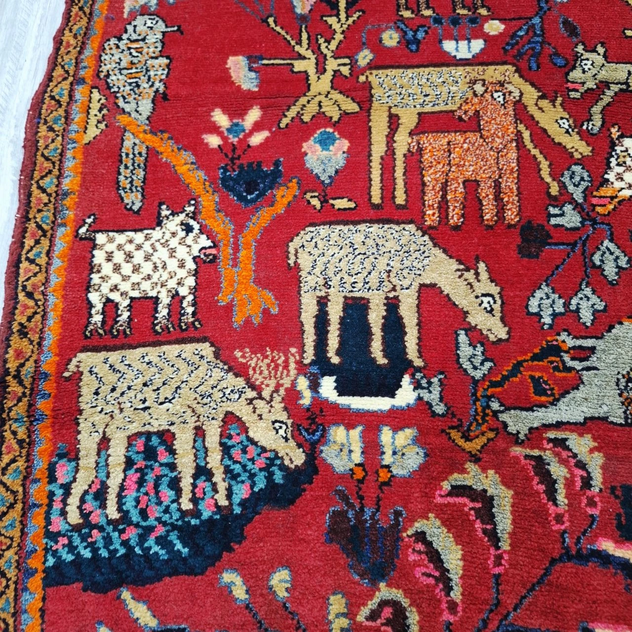 carpet-farshboom-4371266083