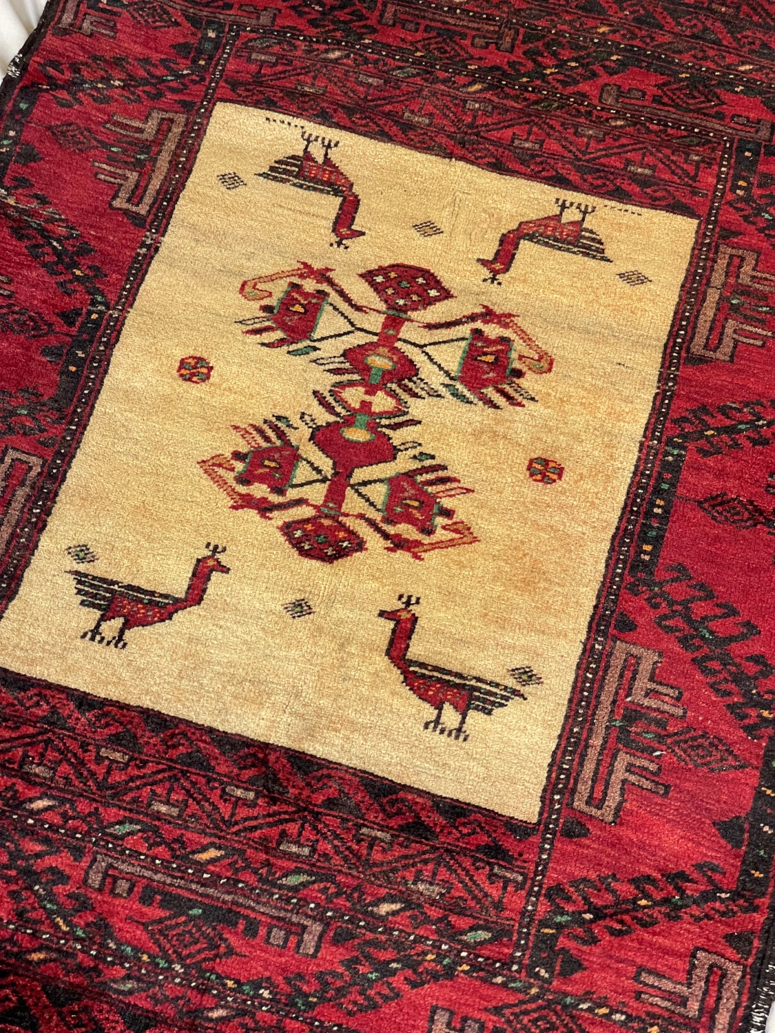 carpet-farshboom-4609869522