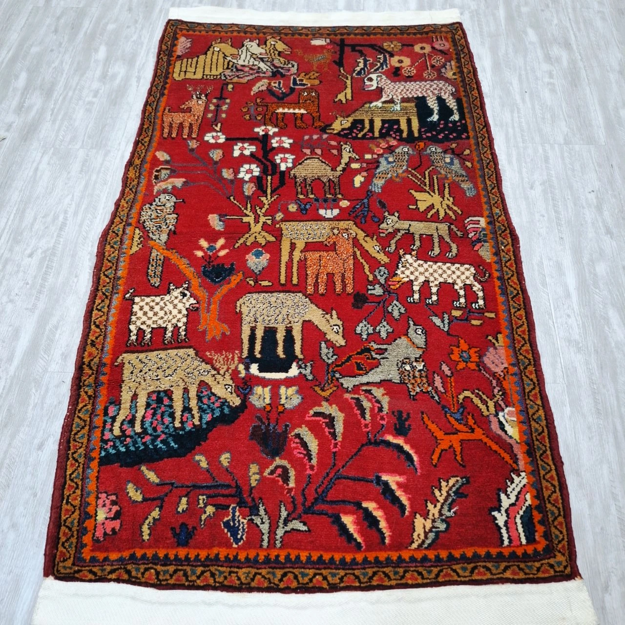 carpet-farshboom-4842906776