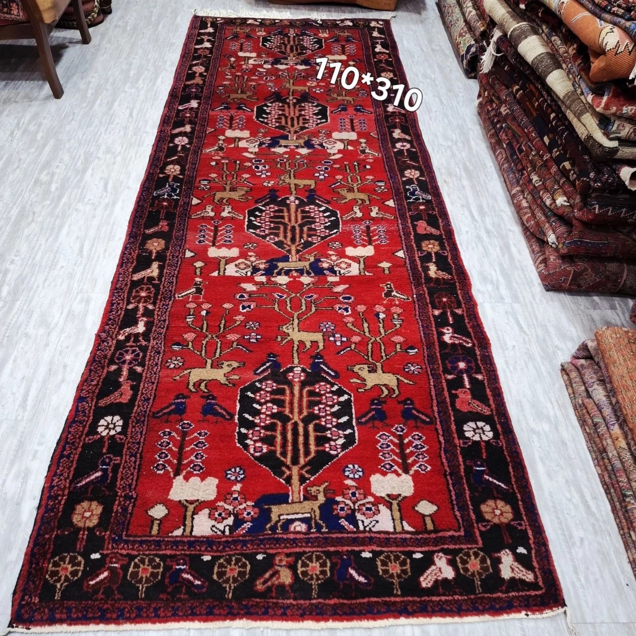 carpet-farshboom-5560316116