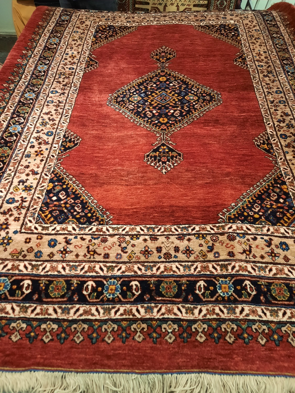 carpet-farshboom-5635151417
