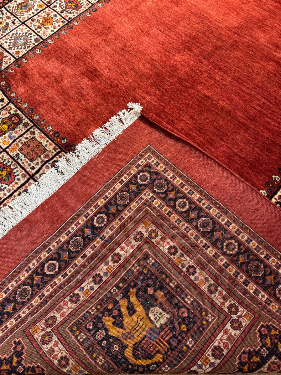 carpet-farshboom-5799698051