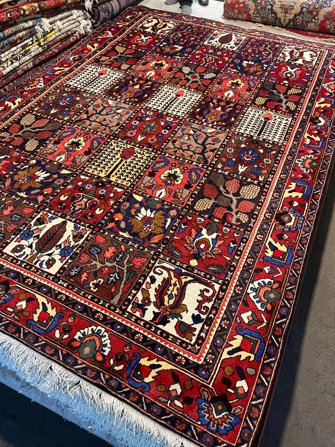 carpet-farshboom-6036199917