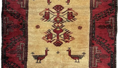 carpet-farshboom-7450728964