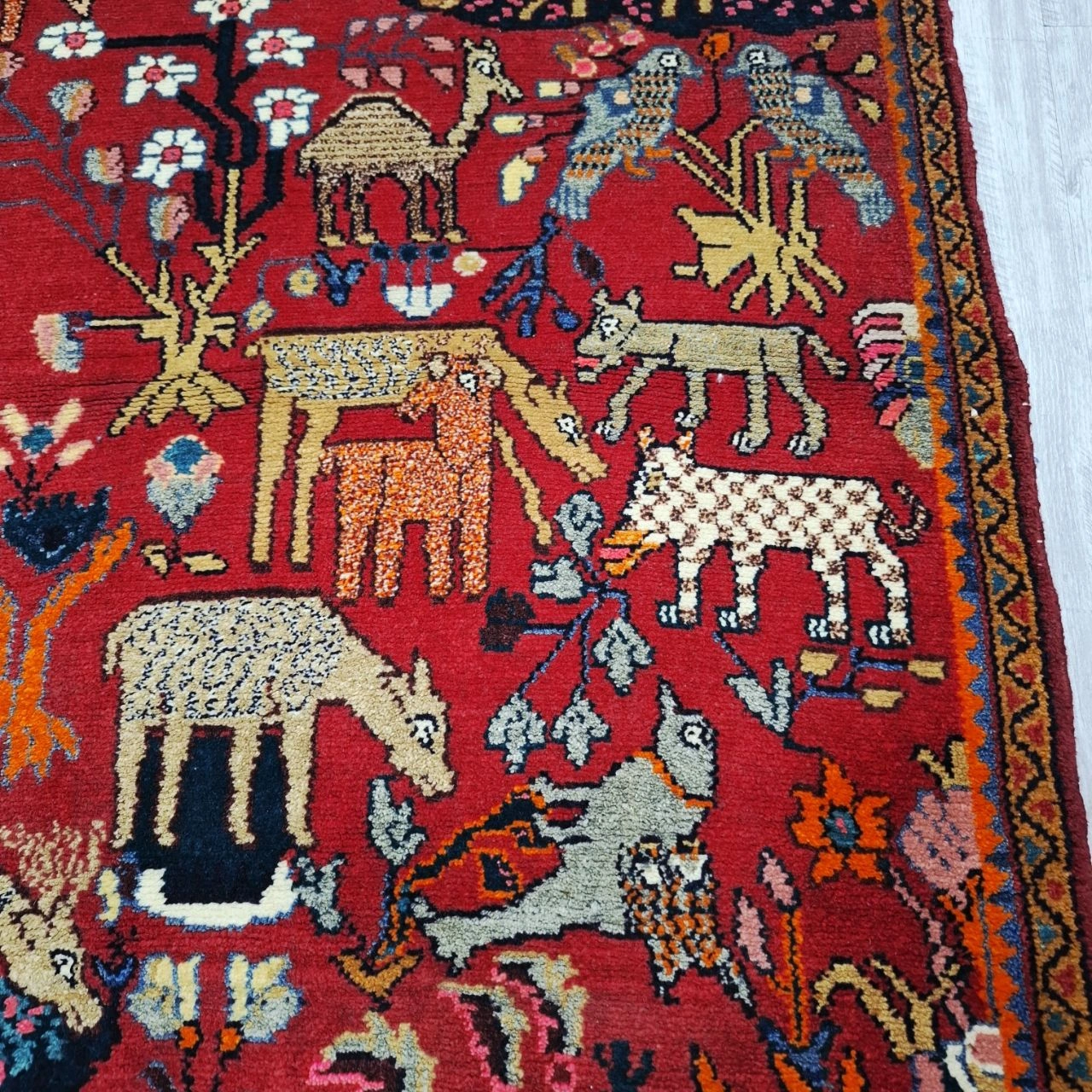 carpet-farshboom-9368373144