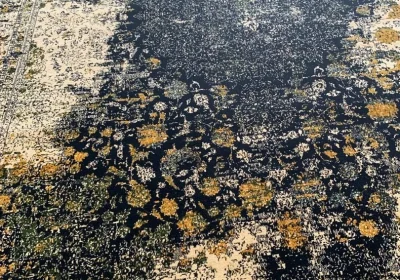 carpet-farshboom-9560856506